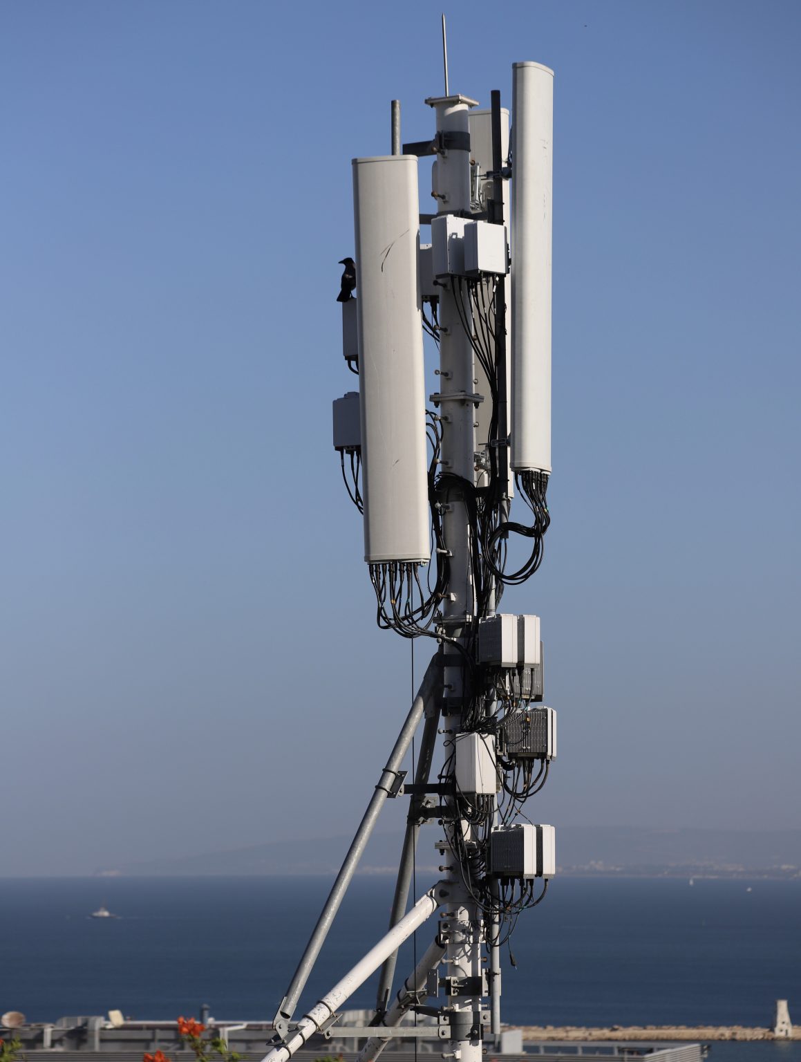 Mobile Network Coverage Mapping and Monitoring Services, Market