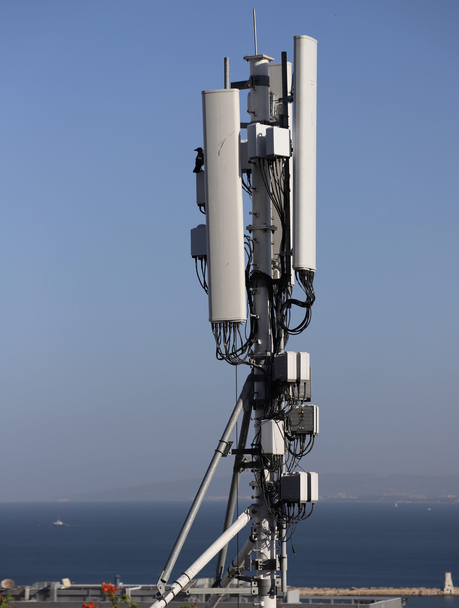 Mobile Network Coverage Mapping and Monitoring Services, Market Analysis
